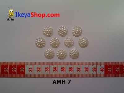 AMH 7  large2